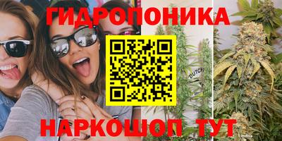 прущие грибы Бугуруслан
