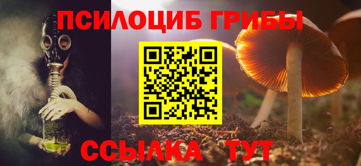 Псилоцибиновые грибы Psilocybe Самара